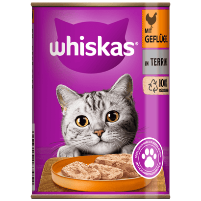 Whiskas 2-12 Monate Geflügel Auswahl in Gelée, 4x85g bestellen